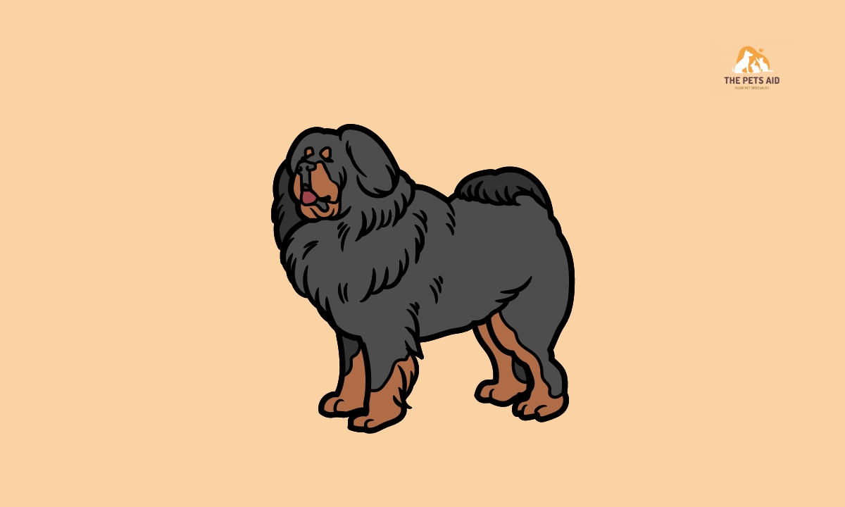 Top 8 Dogs That Can Kill a Pitbull – (Head to Head) 3 Tibetan Mastiff